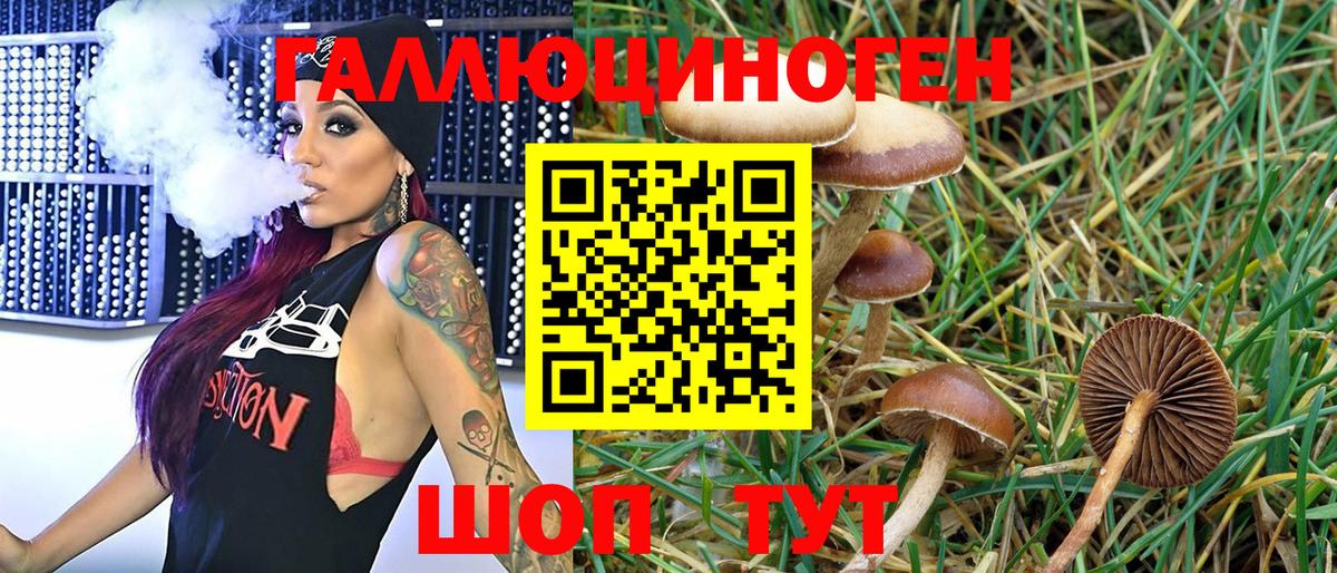 Псилоцибиновые грибы GOLDEN TEACHER Советск